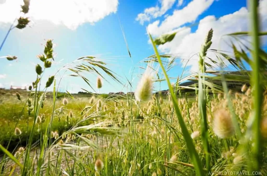 Camino de Santiago Fisterra España