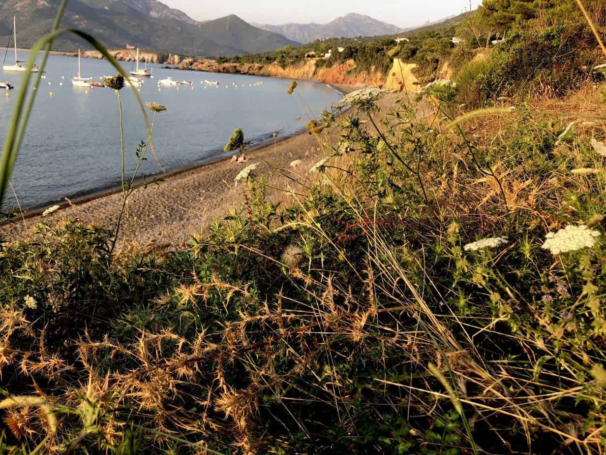 How to travel safety in the coronavirus outbreak travel-safely-pandemic